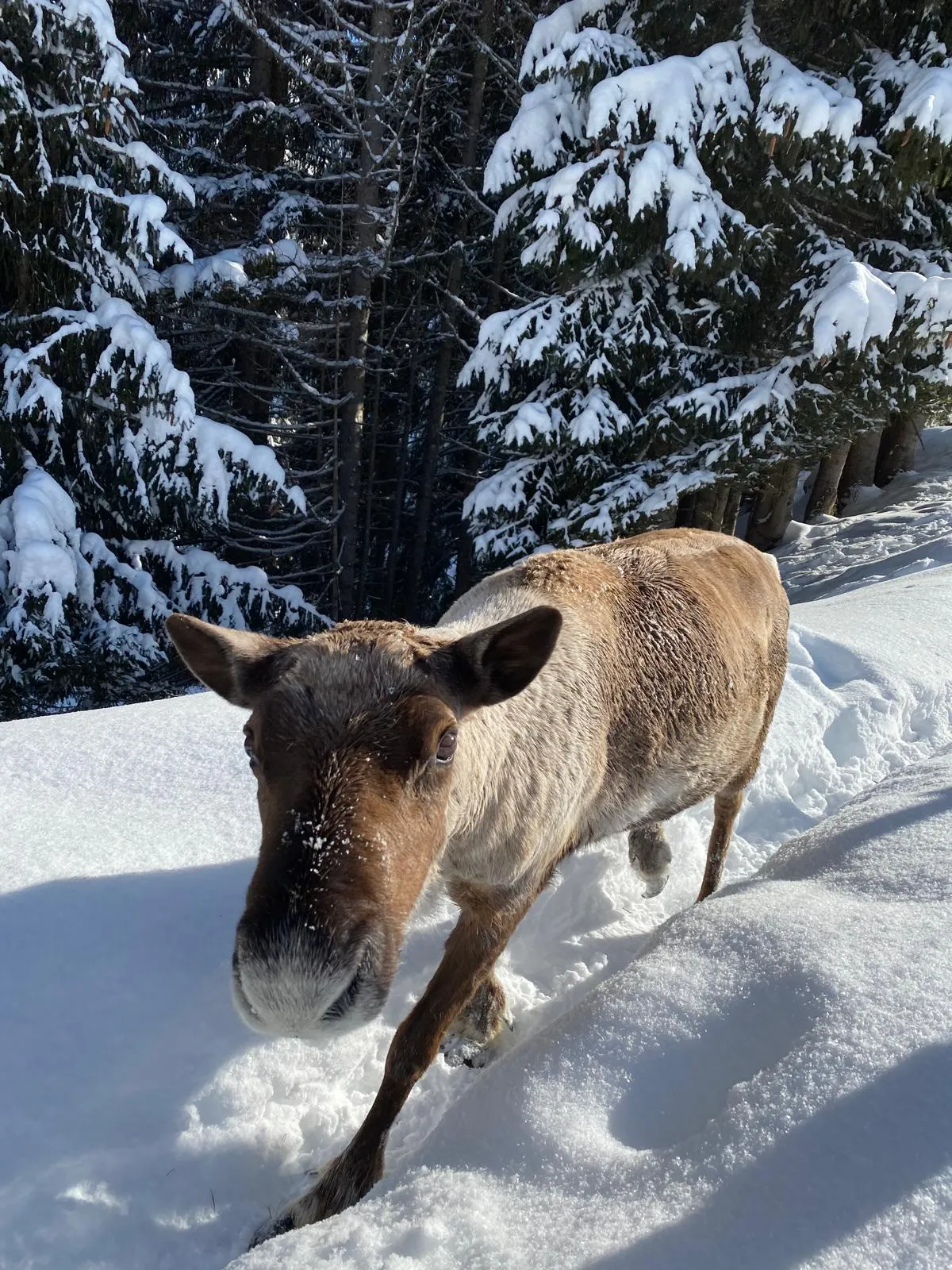 Séjournez à Megève avec Once Upon a travel
